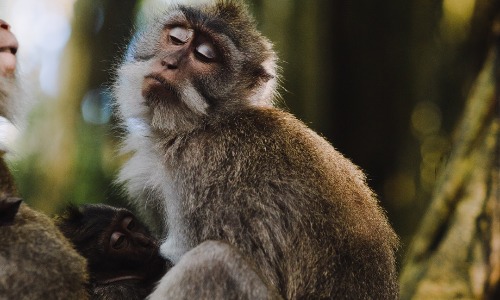 目立たない人になる存在感を消す方法 何もしないのに目立つ もちろん訳がある 自分を知るスピリチュアルっぽい世界